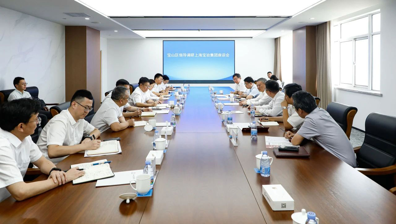 宝山区委书记李晨昊一行调研上海long8